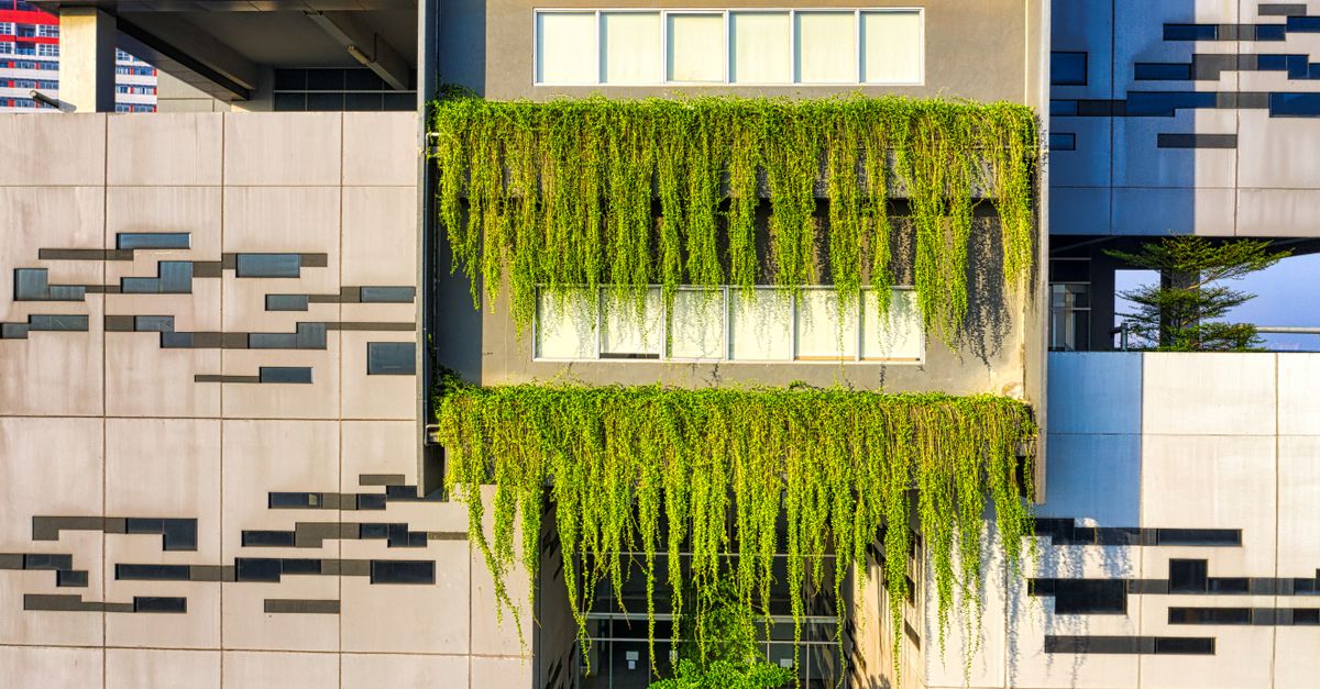Contemporary building facade with lush green plants in urban Banten, Indonesia.